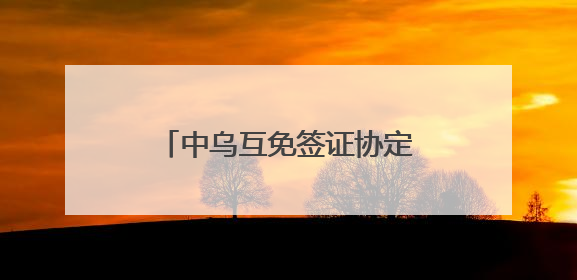 中乌互免签证协定今日生效 首架免签入境航班已抵达