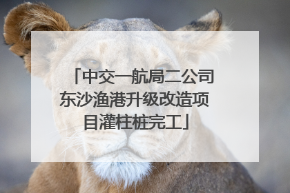 中交一航局二公司东沙渔港升级改造项目灌柱桩完工
