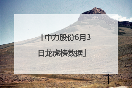 中力股份6月3日龙虎榜数据