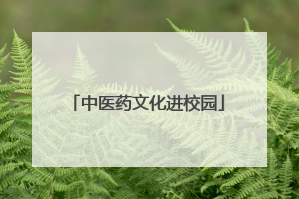 中医药文化进校园