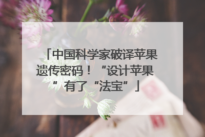 中国科学家破译苹果遗传密码！“设计苹果”有了“法宝”