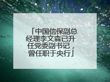 中国信保副总经理李文森已升任党委副书记，曾任职于央行