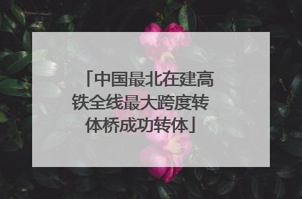 中国最北在建高铁全线最大跨度转体桥成功转体