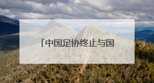 中国足协终止与国足主帅伊万合作
