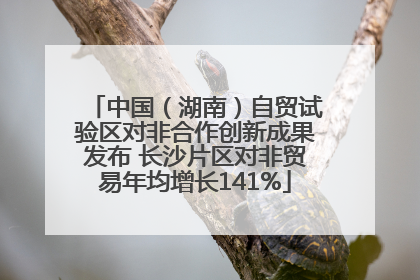 中国（湖南）自贸试验区对非合作创新成果发布 长沙片区对非贸易年均增长141%