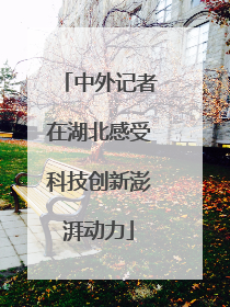 中外记者在湖北感受科技创新澎湃动力
