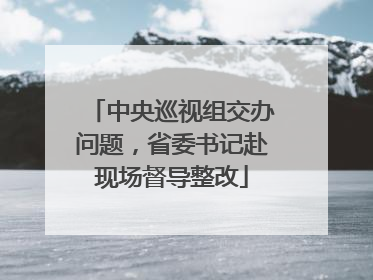 中央巡视组交办问题，省委书记赴现场督导整改