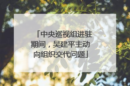 中央巡视组进驻期间，吴建平主动向组织交代问题