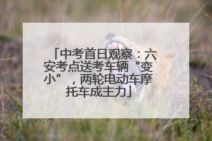 中考首日观察：六安考点送考车辆“变小”，两轮电动车摩托车成主力