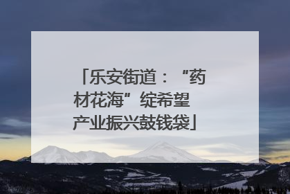乐安街道：“药材花海”绽希望 产业振兴鼓钱袋