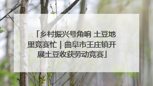 乡村振兴号角响 土豆地里竞赛忙｜曲阜市王庄镇开展土豆收获劳动竞赛