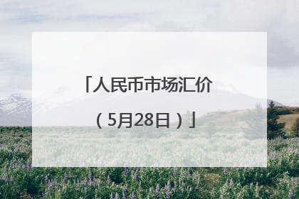人民币市场汇价（5月28日）