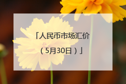 人民币市场汇价（5月30日）