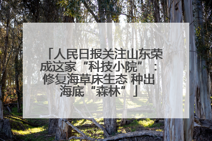 人民日报关注山东荣成这家“科技小院”：修复海草床生态 种出海底“森林”