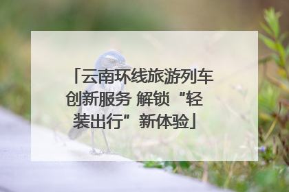 云南环线旅游列车创新服务 解锁“轻装出行”新体验