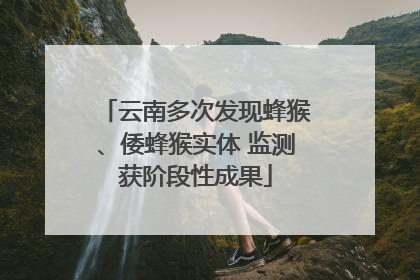 云南多次发现蜂猴、倭蜂猴实体 监测获阶段性成果