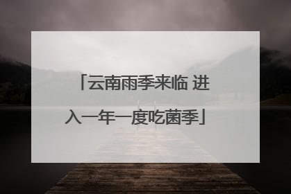 云南雨季来临 进入一年一度吃菌季