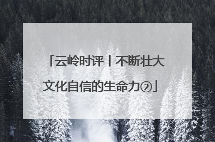 云岭时评丨不断壮大文化自信的生命力②