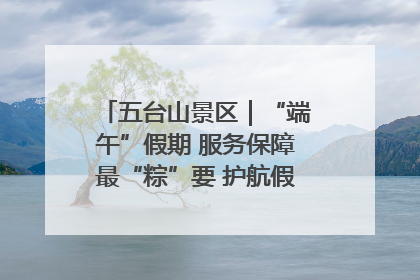 五台山景区｜“端午”假期 服务保障最“粽”要 护航假期“不打烊”