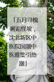 五月寻槐邂逅怪坡，沈北新区中医院国潮中医雅集引热潮