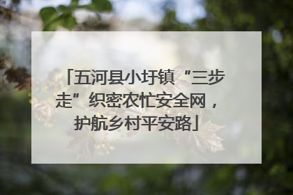 五河县小圩镇“三步走”织密农忙安全网，护航乡村平安路