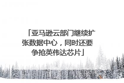 亚马逊云部门继续扩张数据中心，同时还要争抢英伟达芯片