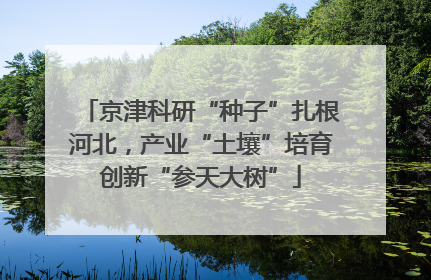 京津科研“种子”扎根河北，产业“土壤”培育创新“参天大树”