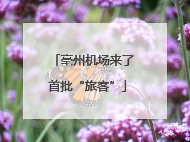 亳州机场来了首批“旅客”