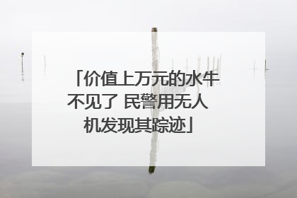 价值上万元的水牛不见了 民警用无人机发现其踪迹