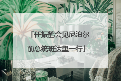 任振鹤会见尼泊尔前总统班达里一行