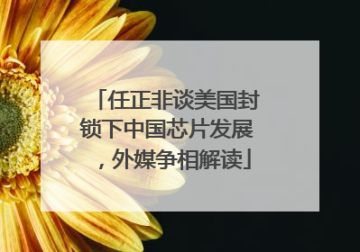 任正非谈美国封锁下中国芯片发展，外媒争相解读