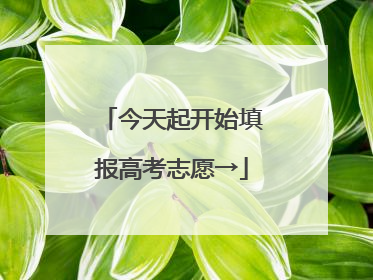 今天起开始填报高考志愿→