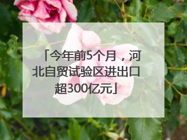 今年前5个月，河北自贸试验区进出口超300亿元