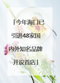 今年海口已引进48家国内外知名品牌开设首店