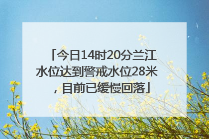 今日14时20分兰江水位达到警戒水位28米，目前已缓慢回落