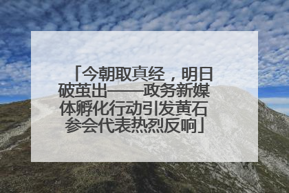 今朝取真经，明日破茧出——政务新媒体孵化行动引发黄石参会代表热烈反响