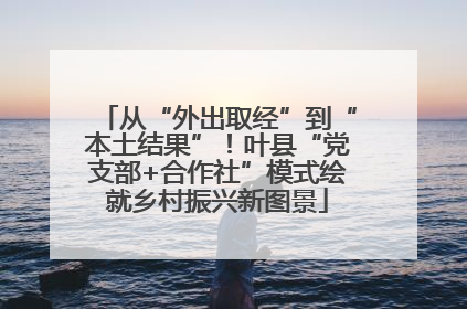 从“外出取经”到“本土结果”！叶县“党支部+合作社”模式绘就乡村振兴新图景