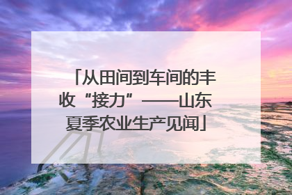 从田间到车间的丰收“接力”——山东夏季农业生产见闻