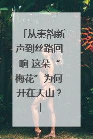 从秦韵新声到丝路回响 这朵“梅花”为何开在天山？