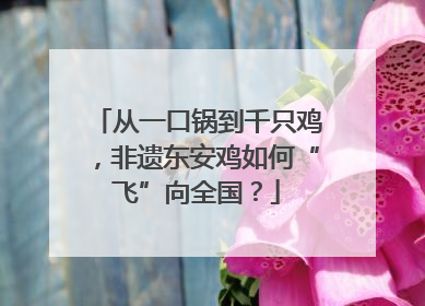 从一口锅到千只鸡，非遗东安鸡如何“飞”向全国？