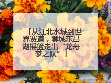 从江北水城到世界赛道，聊城东昌湖摇篮走出“龙舟梦之队”