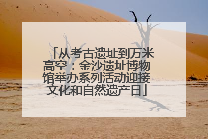 从考古遗址到万米高空：金沙遗址博物馆举办系列活动迎接文化和自然遗产日