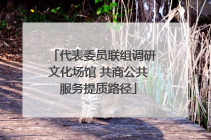 代表委员联组调研文化场馆 共商公共服务提质路径