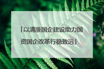 以清廉国企建设助力国资国企改革行稳致远