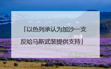 以色列承认为加沙一支反哈马斯武装提供支持