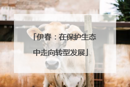 伊春：在保护生态中走向转型发展