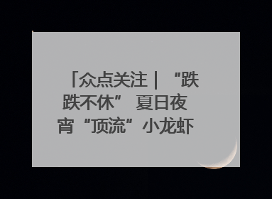 众点关注｜“跌跌不休” 夏日夜宵“顶流”小龙虾价格腰斩 东营人的快乐来了