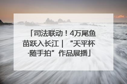 司法联动！4万尾鱼苗跃入长江｜“天平杯·随手拍”作品展播