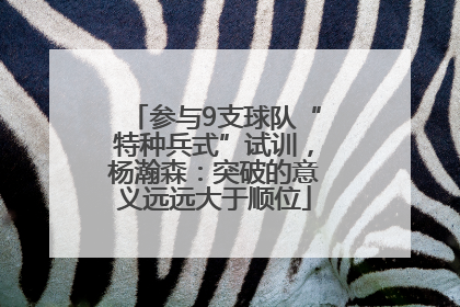 参与9支球队“特种兵式”试训，杨瀚森：突破的意义远远大于顺位