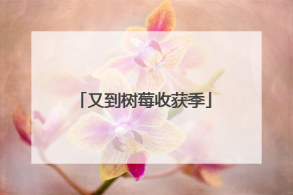 又到树莓收获季